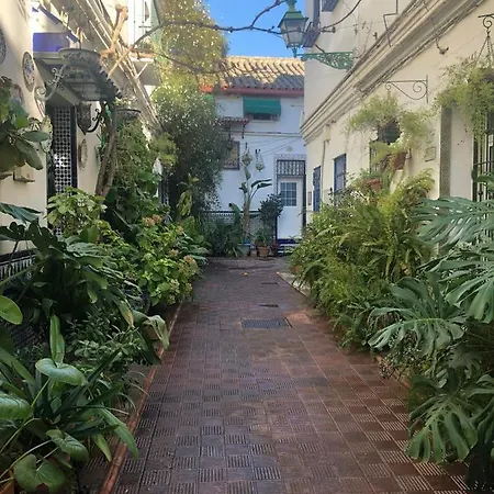 Charming House In Triana,Best City View From Patio Seville Exterior photo