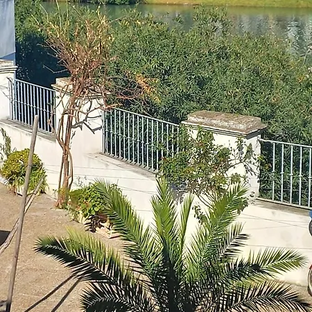 Charming House In Triana,Best City View From Patio Seville Exterior photo